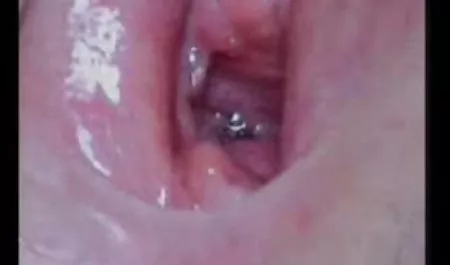 شخص خروس کوچک داستانهای ضربدری شهوانی که توسط دو dominatrixes بد بو تحت سلطه است